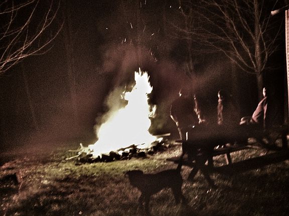 Summer nights 
