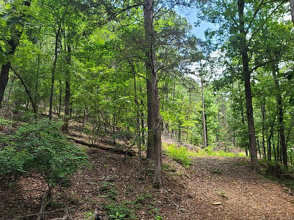 2nd image of 0 Cedarglade Rd Lot Wp000