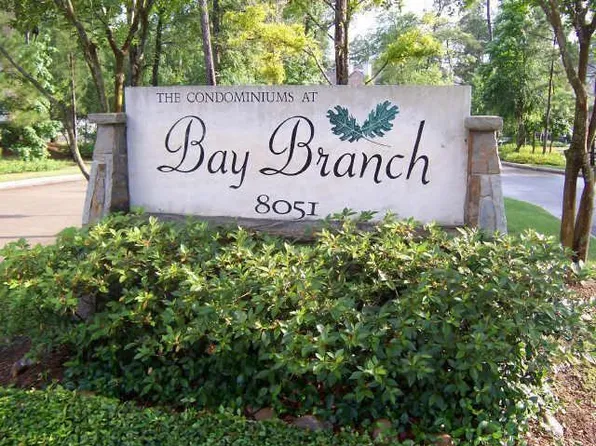 8051 Bay Branch Dr Unit 332, Spring, TX 77382