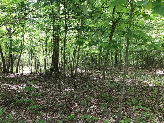 2nd image of 512 Wilderness Way Lot 512