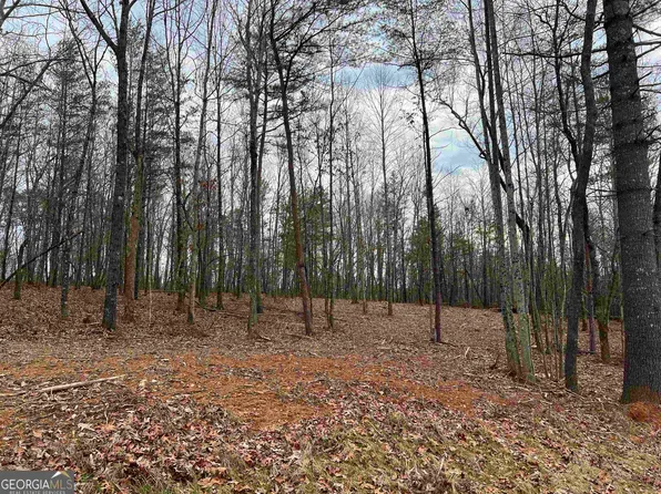 108 Sautee Ridge Rd, Clarkesville, GA 30523
