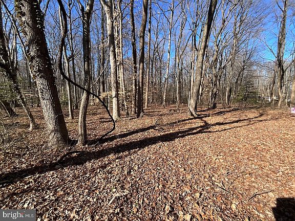 5th image of Holly Neck Rd