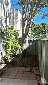 5th image of 2424 Bolker Dr