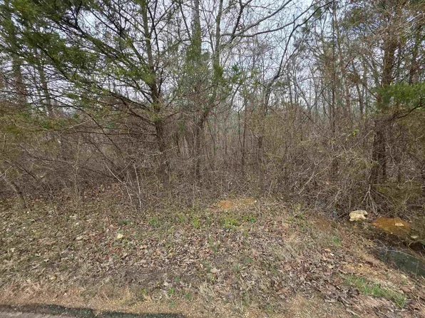 L15-B3 S Summit Ridge Dr, Williford, AR 72482