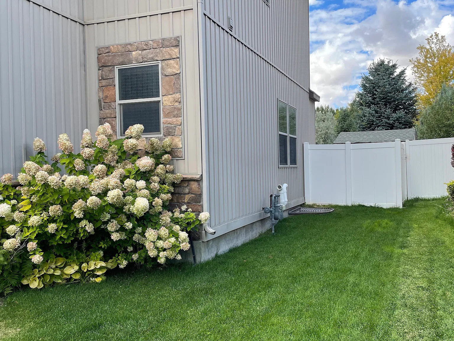 4 bed, 3357 sqft, $2,800 — Photo 3
