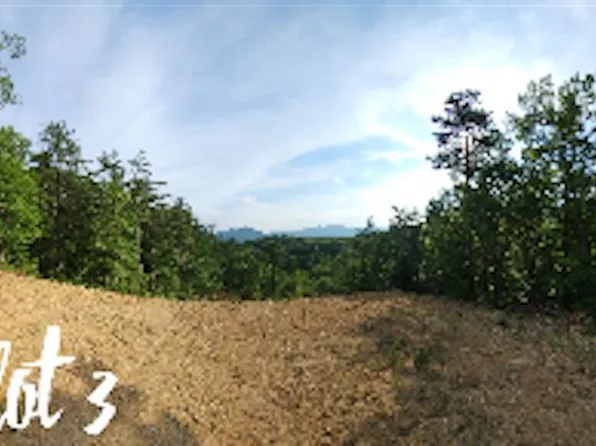 2811 Reese Mountain Rd, Elliston, VA 24087