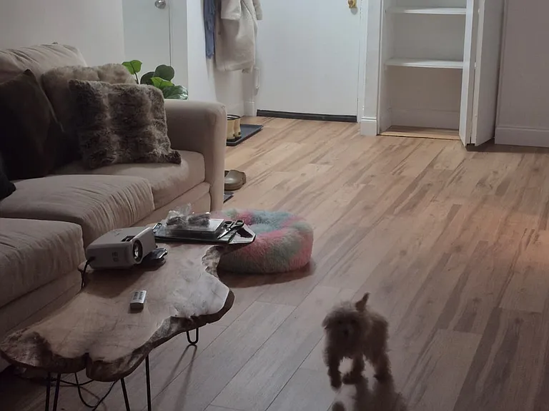 Living room, night