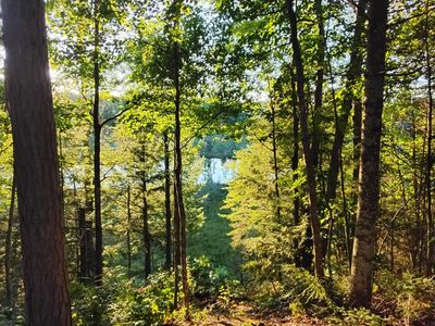 8765 N Bo Di Lac Dr, Minocqua, WI, 54548