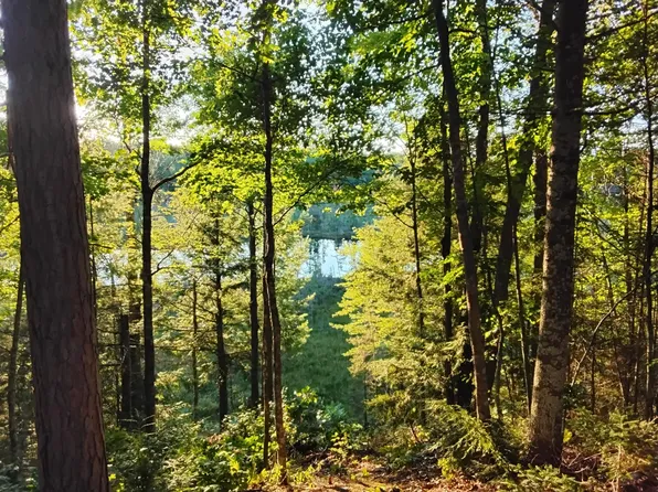 8765 N Bo Di Lac Dr, Minocqua, WI 54548