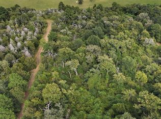 29028 Sandpiper Ln, Hempstead, TX 77445