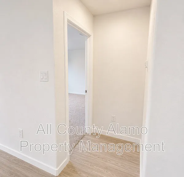 9258 Honey Mesquite — Photo 13