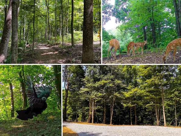 32254 Titus Rd Tract 2, Langsville, OH 45741