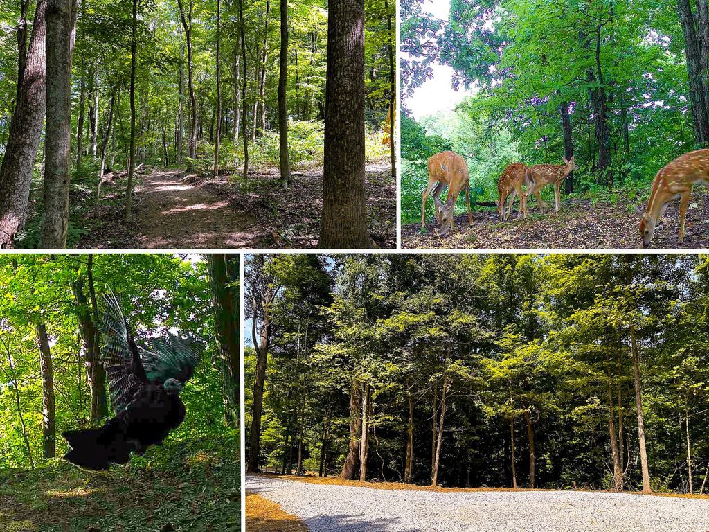Real estate listing image