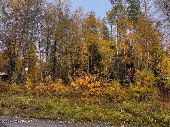 12913 N Pettis Dr, Willow, AK 99688