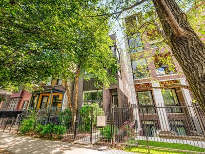 1131 W Addison St UNIT 3, Chicago, IL, 60613