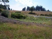 2nd image of 1950 Cloverdale Rd