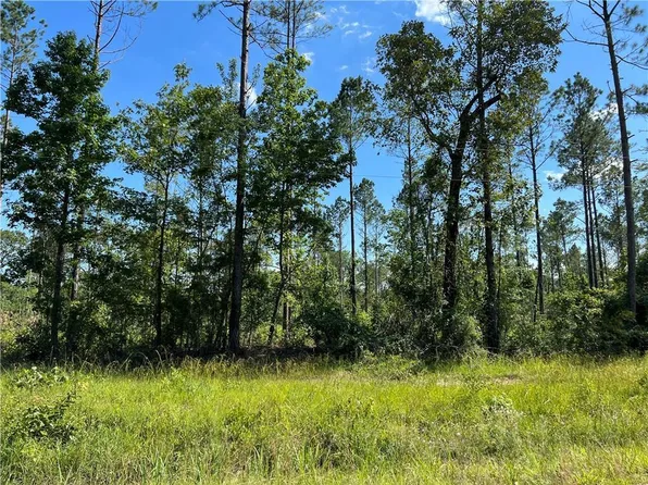 0 Walker Ferry Rd Lot 12, Pollock, LA 71467