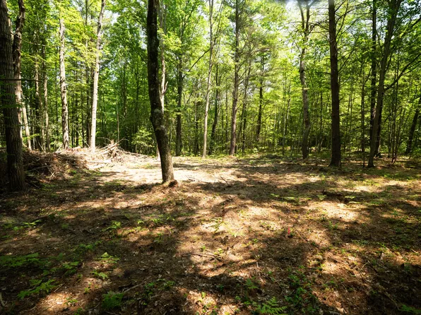 V/l 114a W Jefferson Rd, Hart, MI 49420