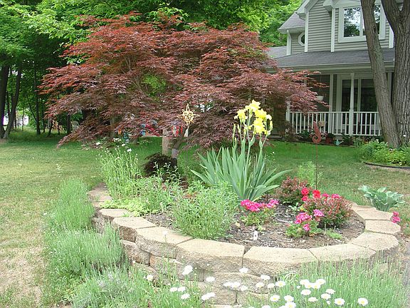 front yard in summer