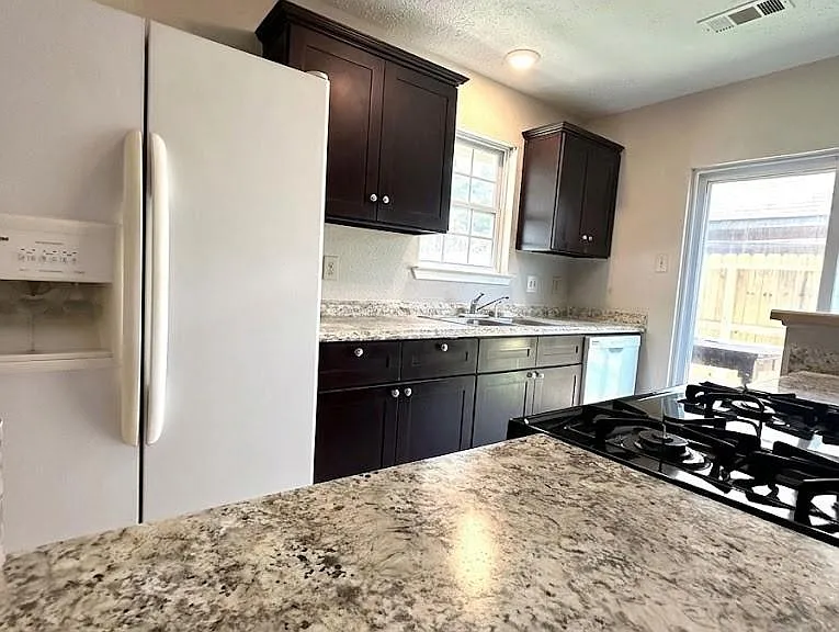 9302 Golden Sunshine Dr — Photo 6