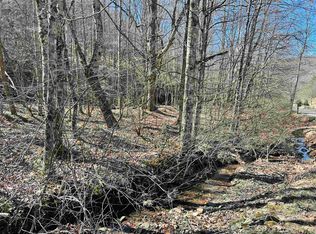 0 Conley Run Rd, Valley Head, WV 26294