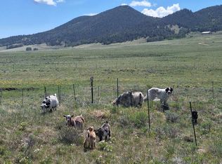 145 Atlasta Dr, Westcliffe, CO 81252