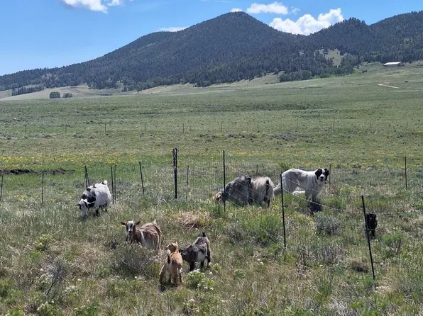 145 Atlasta Dr, Westcliffe, CO 81252