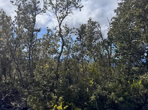 Cocoanut Dr Lot 7, Ocean View, HI 96737