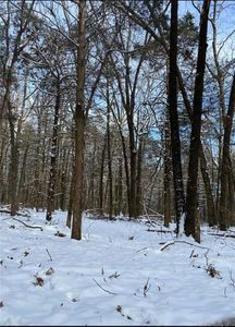 6327 Crow Mountain Rd, Russellville, AR, 72802