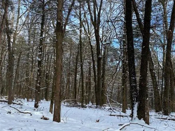 6327 Crow Mountain Rd, Russellville, AR 72802