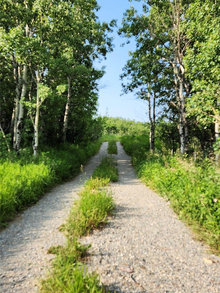 Nhn Chief Mountain Hwy, Babb, MT 59411 MLS 30008576 Zillow