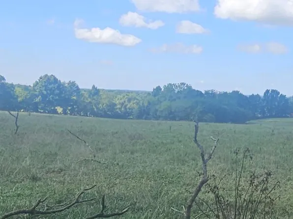 000 N Dade 237, Walnut Grove, MO 65770