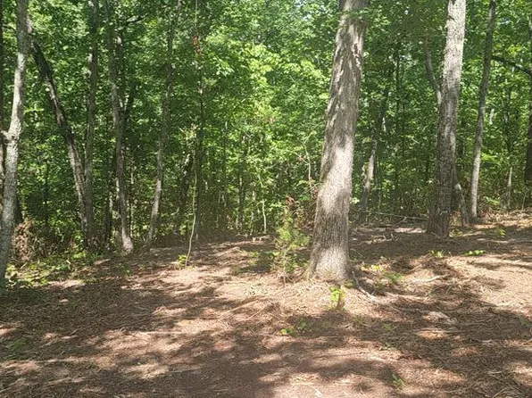 94 Chinkapin Rd, Holladay, TN 38341