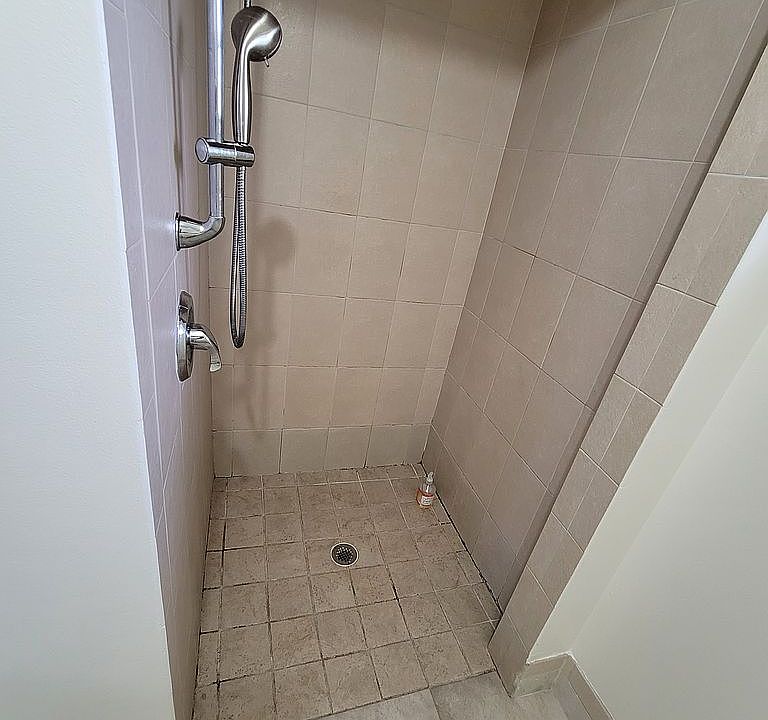 Walk or roll in shower 