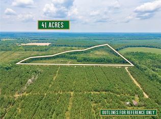 0 Powell School Rd N TRACT 3, Lumber City, GA 31549