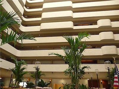 2nd image of 600 Biltmore Way APT 1002