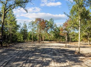 18077 89th Ln, Mc Alpin, FL 32062