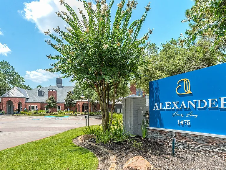 Alexander — Photo 32