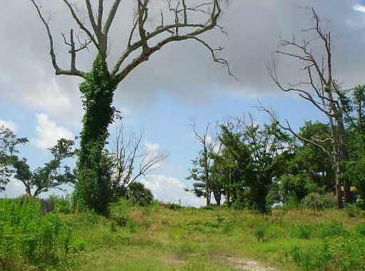 2nd image of 130 W Scenic Dr