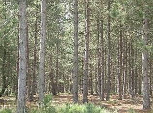 Healy Lake Rd, Kaleva, MI 49645