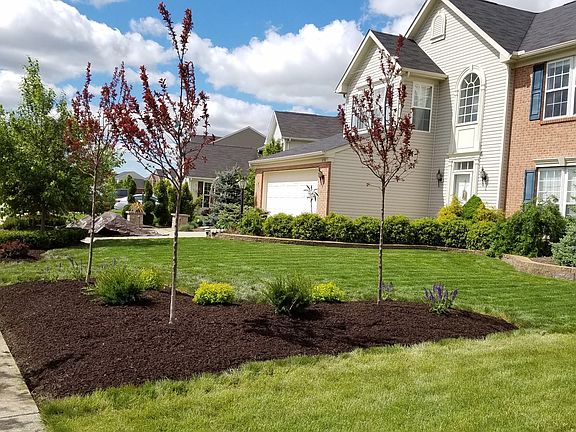 3rd image of 898 Slate Dr