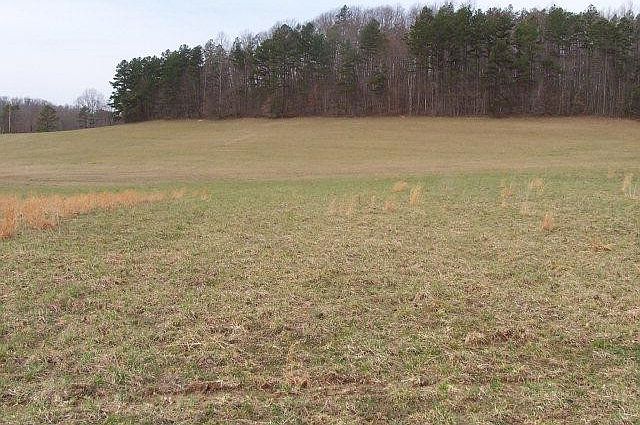 2nd image of 0 Nantz Rd