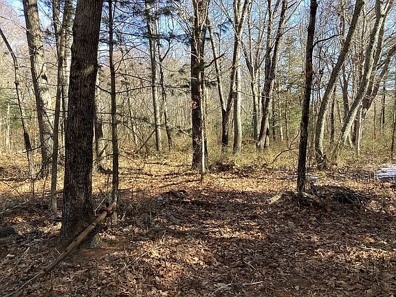 2nd image of 0 Coleman Ave