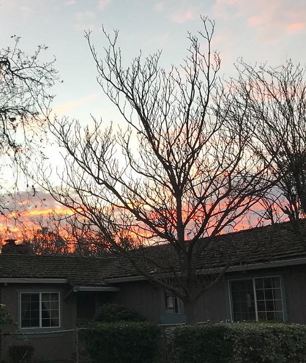 2nd image of 657 Madrone Ave
