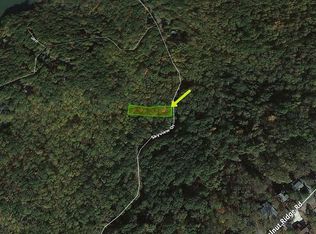 1111 Skyview Dr, Ellijay, GA 30536