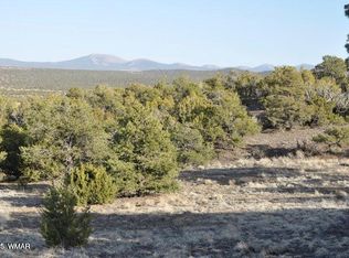 20 County Road 3 #3044, Concho, AZ 85924