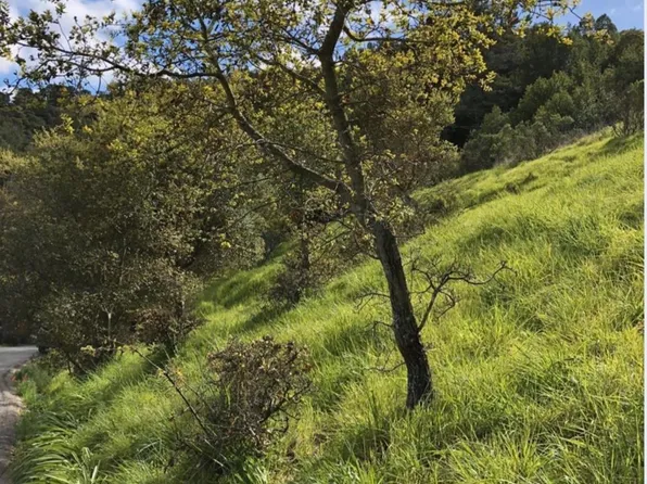 0 Coleman Drive, San Rafael, CA 94901