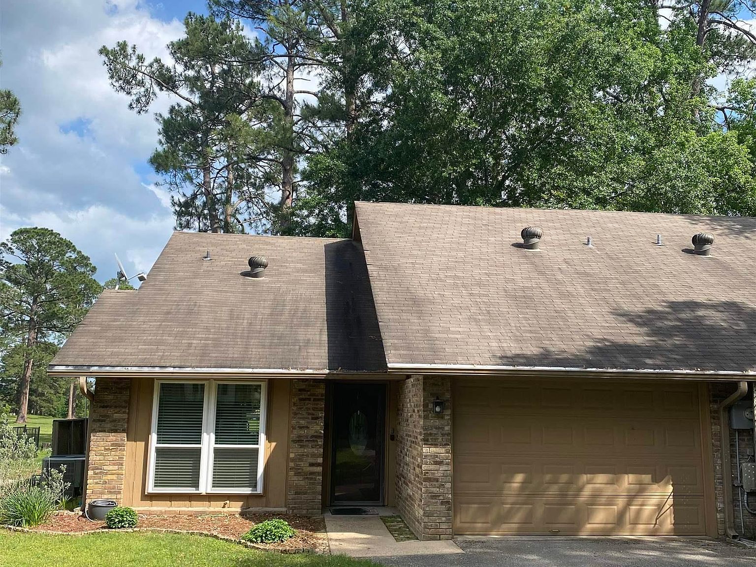 162 Pine Tree Tree #A