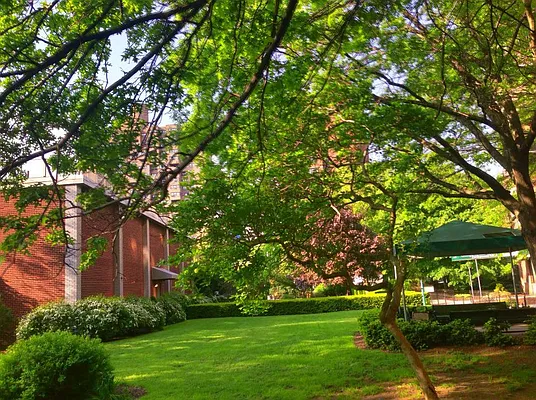 Rented by City Connections Realty | media 5