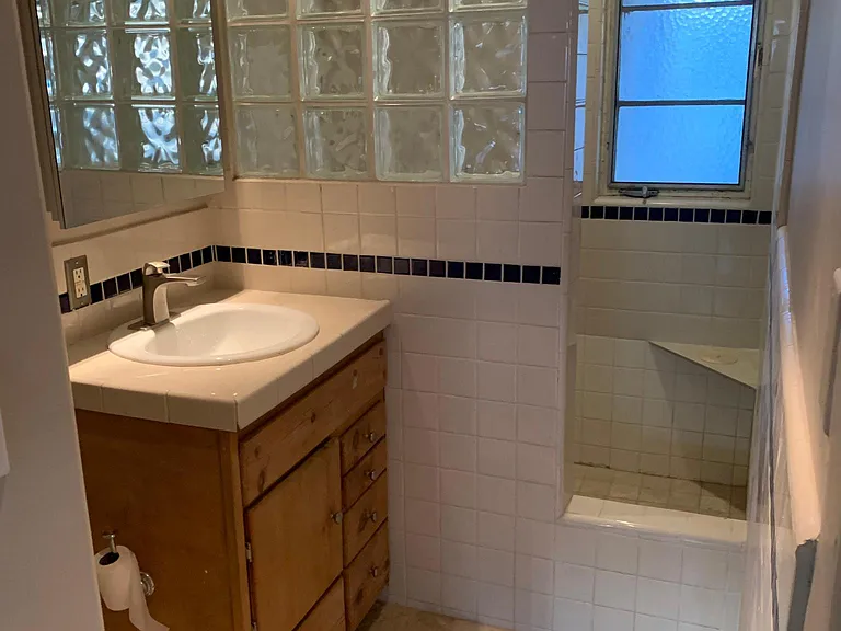 Bath with step in tub/shower